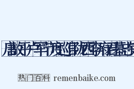 唐故平卢军节度巡官陇西李府君墓志铭是什么意思的图片